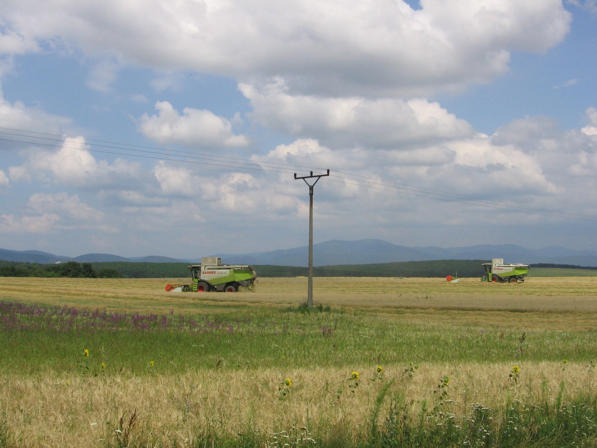 Obecný pozemok pre centrum